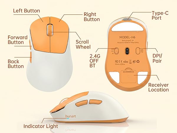 H6 mouse