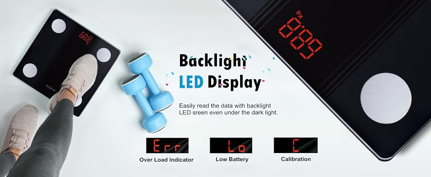 IF1131D LED Display