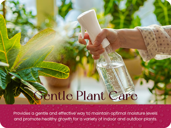 Beautify Beauties Spray Bottles. Gentle Plant Care.