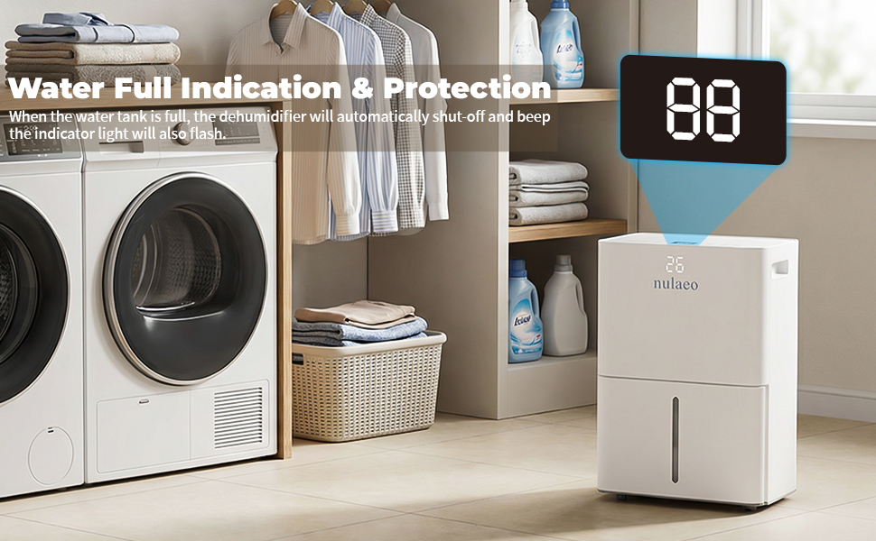 dehumidifier big room
