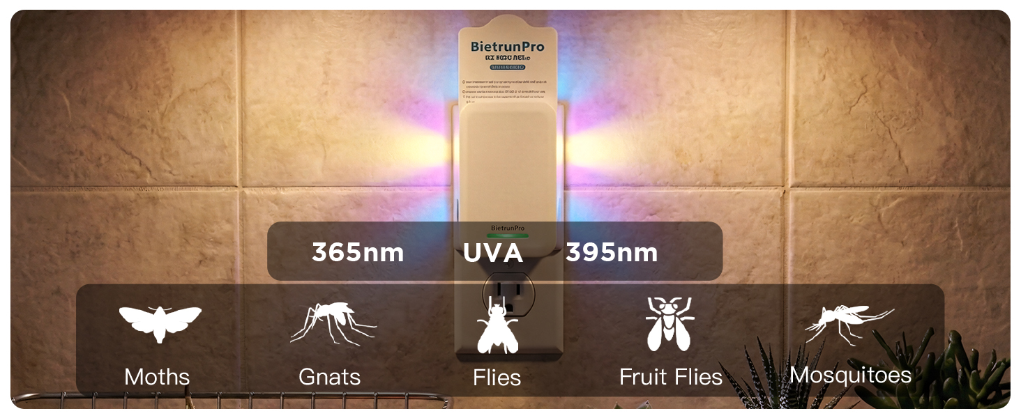 fly killer gnat killer plug in best safe electric flying insect trap fruit fly bug blue UV light