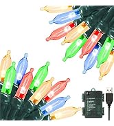 Green Convenience Christmas Lights 33ft 100 LED Battery String Lights with Timer Memory Function ...
