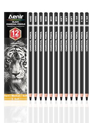 charcoal drawing pencils