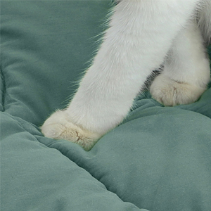cat bed