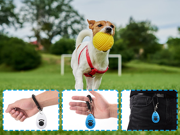 dog training clickers