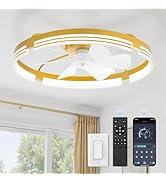ZMISHIBO 24 Inch Low Profile Ceiling Fans with Lights and Remote, 3000K-6000K Dimmable Fandelier ...