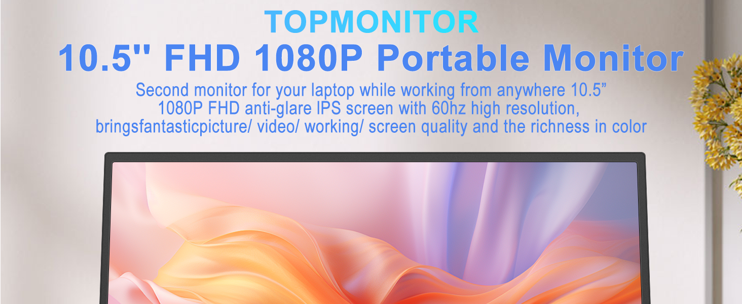 10 inch portable monitor