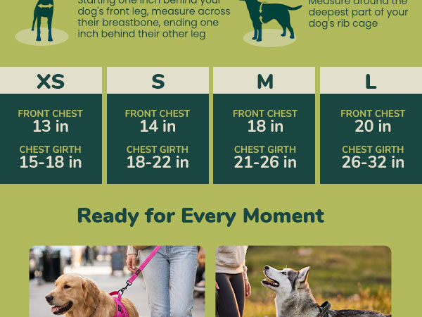 Dog Harness for Small Dogs