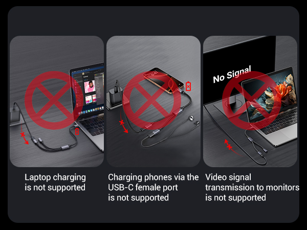 USB-C to USB-C Splitter