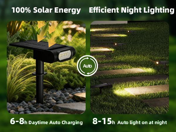 solar spot light for tree