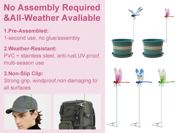 dragonflies to keep bugs away