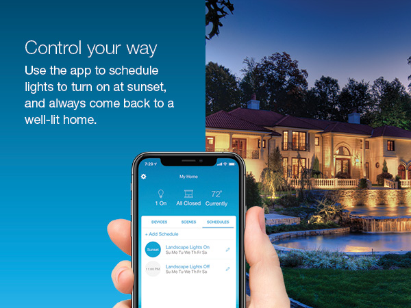 Use the app to schedule your lights to turn on automatically
