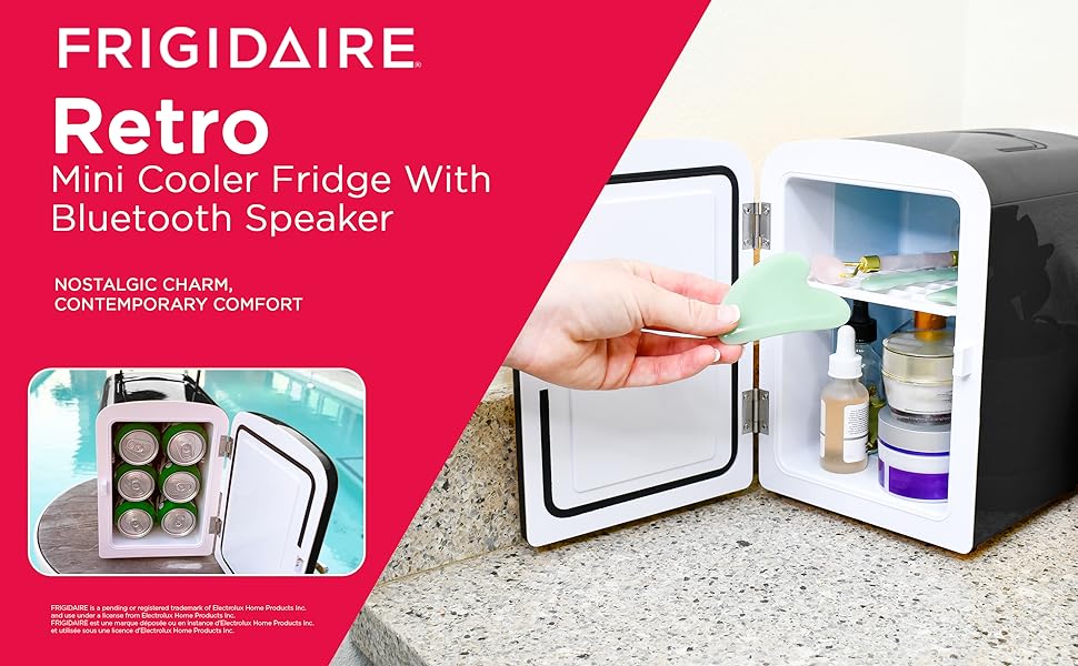 Mini Cooler Fridge