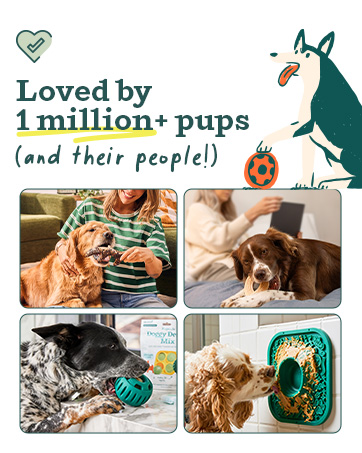 Various breeds enjoying mental stimulation with interactive treat balls and slow-feeder mats.