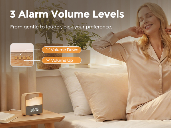 3 Alarm Volume Levels