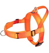 Arblina No Pull Dog Harness with Soft Mesh Padded, Fully Adjustable Walking Harness with Handle f...