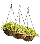 Tosnail 3 Pack 10" Metal Hanging Flower Pots Hanging Planters Plant Basket with Coco Fiber Liners