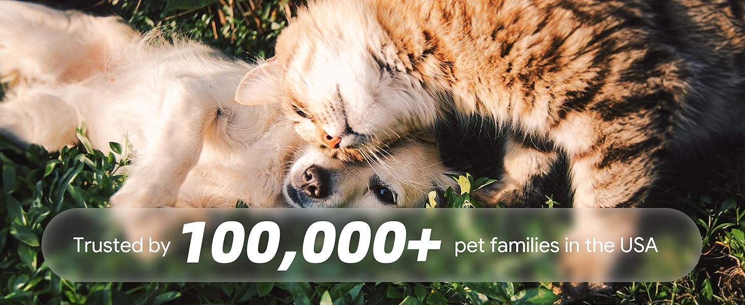 A cat and dog playing, with 100,000+ US families served.