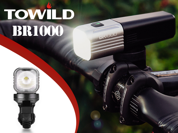 br1000 light