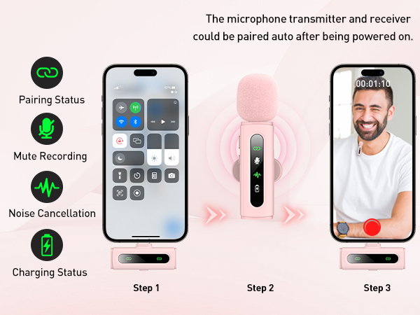 mini microphone pink