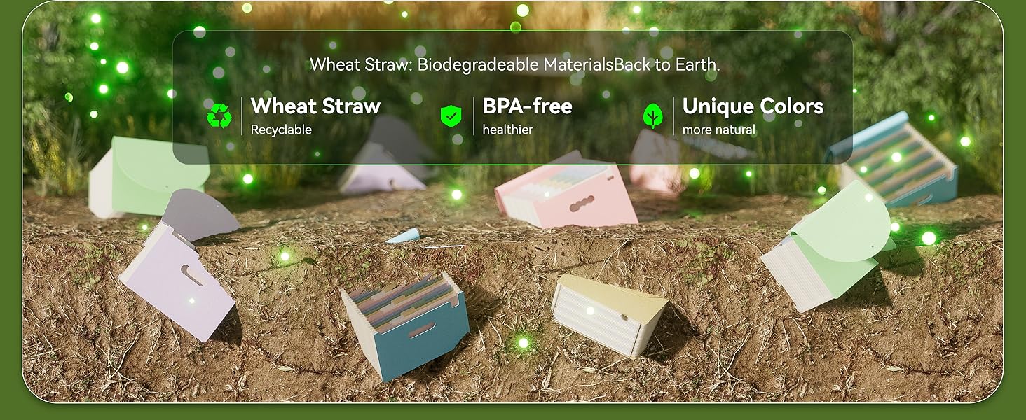 accordion file organizer