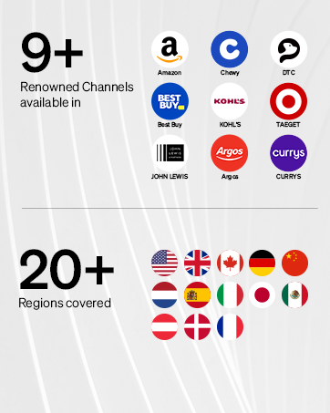 automatic cat feeder