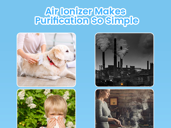 portable air purifier