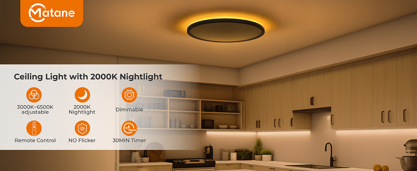 ceiling light