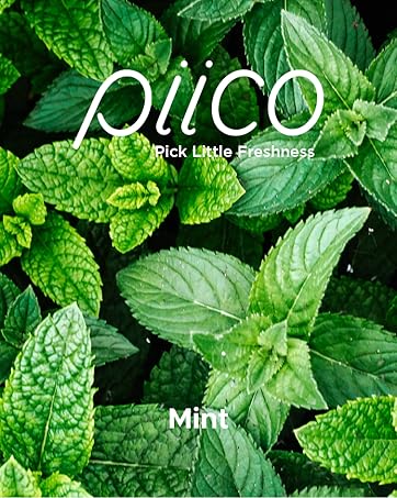 flavored floss picks mint