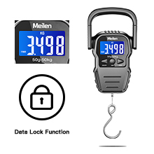 Data Locking Function