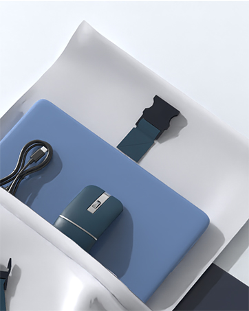 Taimousetvs mouse