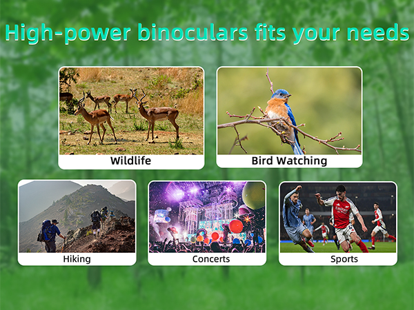 Ergonomic grip makes it easy and fun to use during bird watching, nature walks, hunting trips