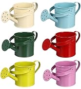 6Pcs Watering Can Metal Watering Can Mini Gardening Watering Tin Small Water Can Cute Sprinkling ...