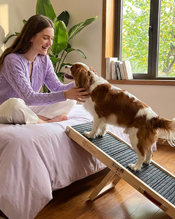 dog ramp