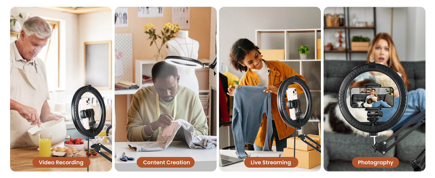 overhead phone mount with light