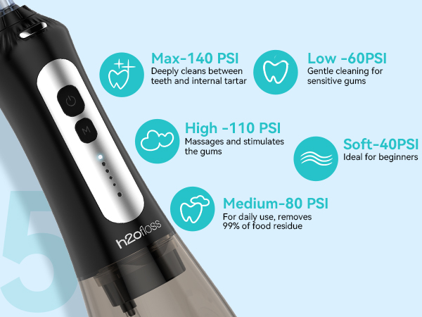 h2ofloss electric toothbrush and water flosser combo