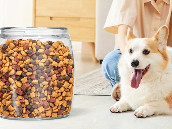 1 Pcak 2.5 Gallon Glass Jar With Lid