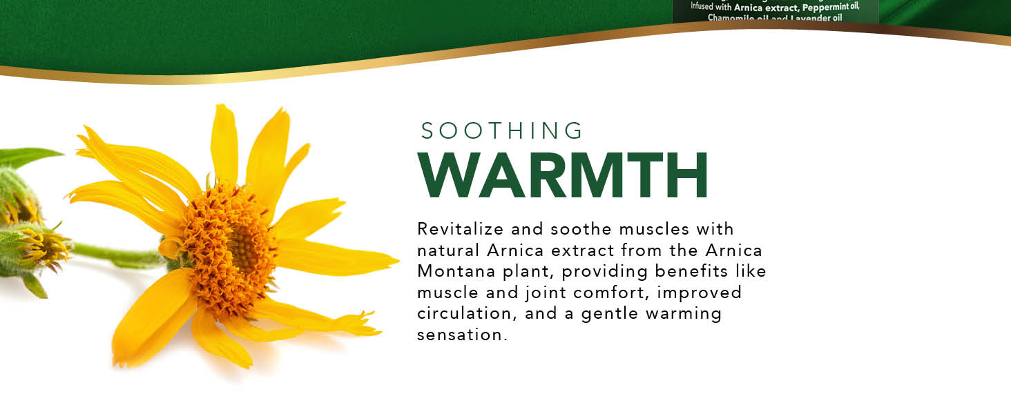 arnica extract soothing muscles massage oil warming oil