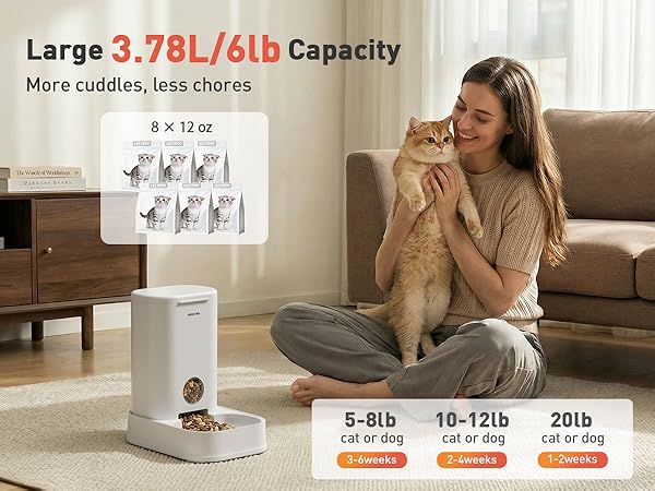 dog automatic feeder