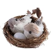 ZGLUZP 1 Set Simulation Bird Nest with Bird and Eggs Decor,Fake Foam Feather Birds,Artificial Bir...