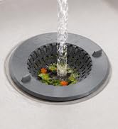 Drain Weasel Kitchen Sink Strainer