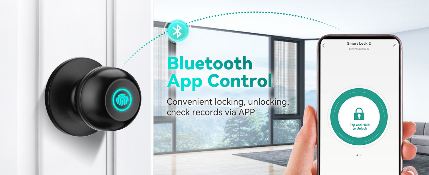 Great for Bedroom, Front Door, Apartment, Office, Garage, Cloakroom Black