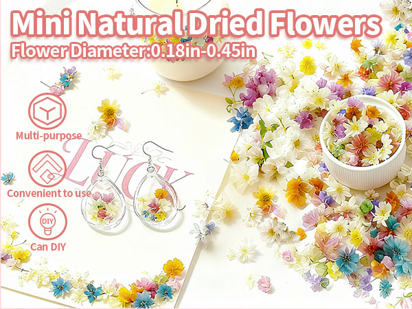 Mini Dried Flowers for Resin
