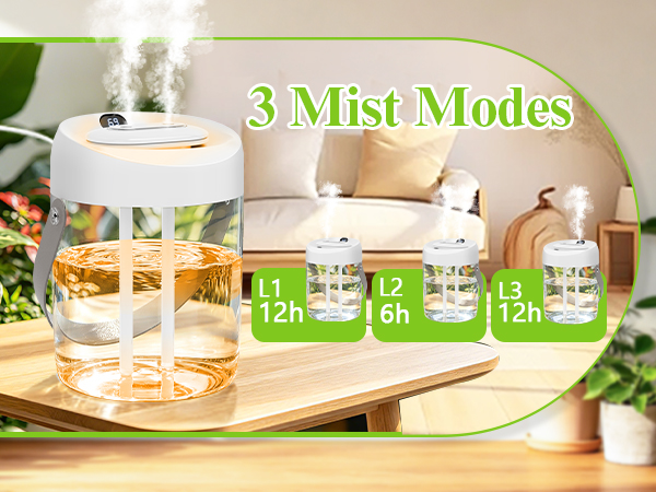 Portable Small Humidifier for Bedroom, Aroma Diffuser Personal Desktop Plant Humidifier Indoor