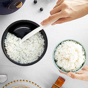 rice cooker small