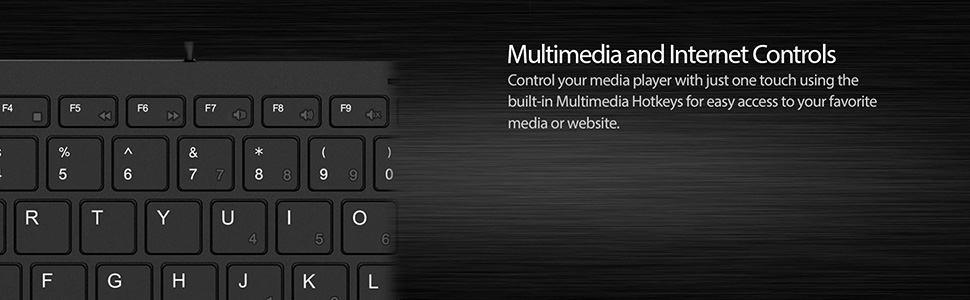 Multimedia and Internet Controls