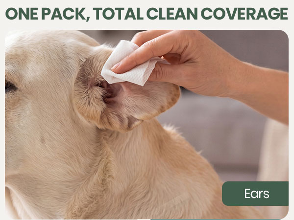Bark &amp;amp; Clean