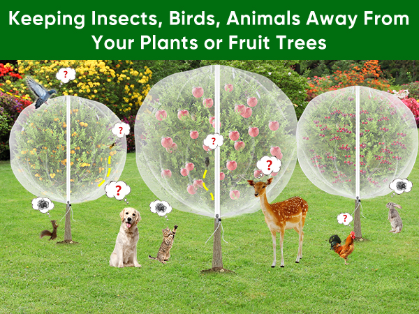 Large_Fruit_Trees_Netting_Zipper_2Pcs_10X10_FT_with_Drawstring