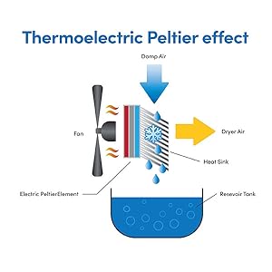 peltier effect diagram