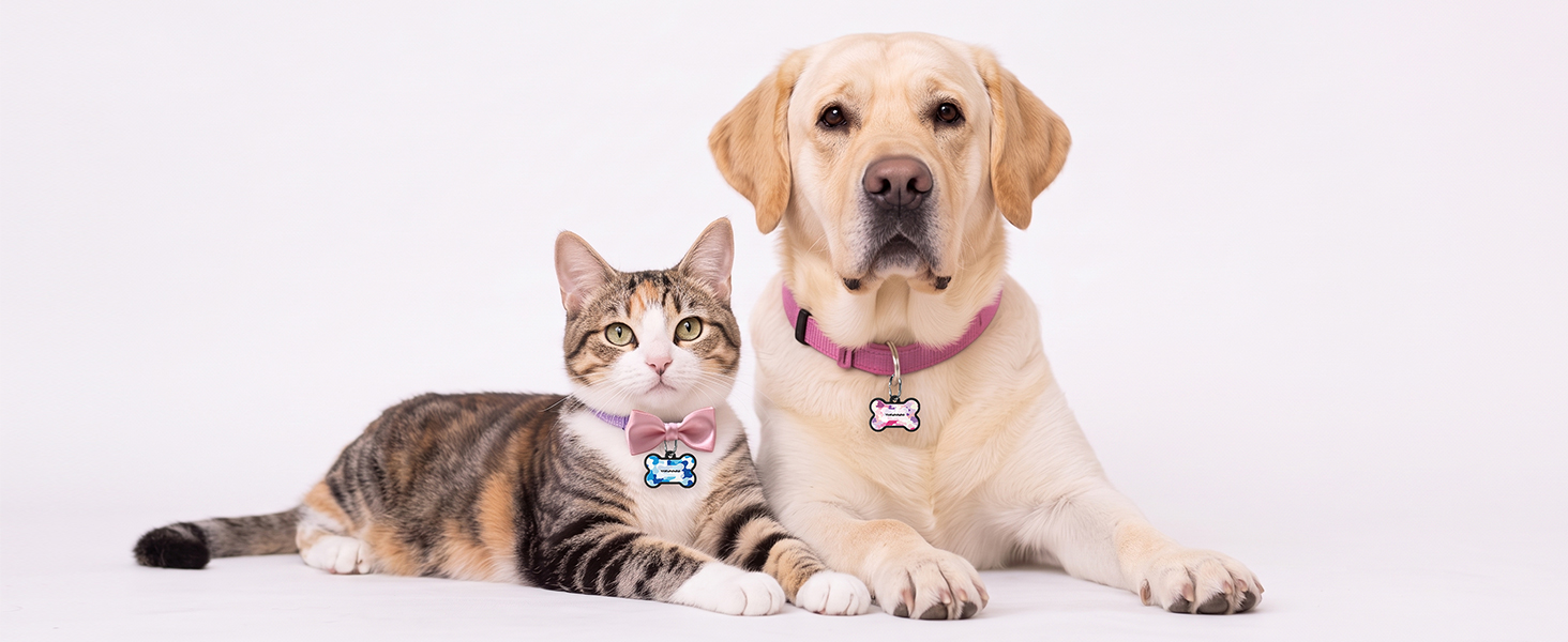 Dog ID Tag